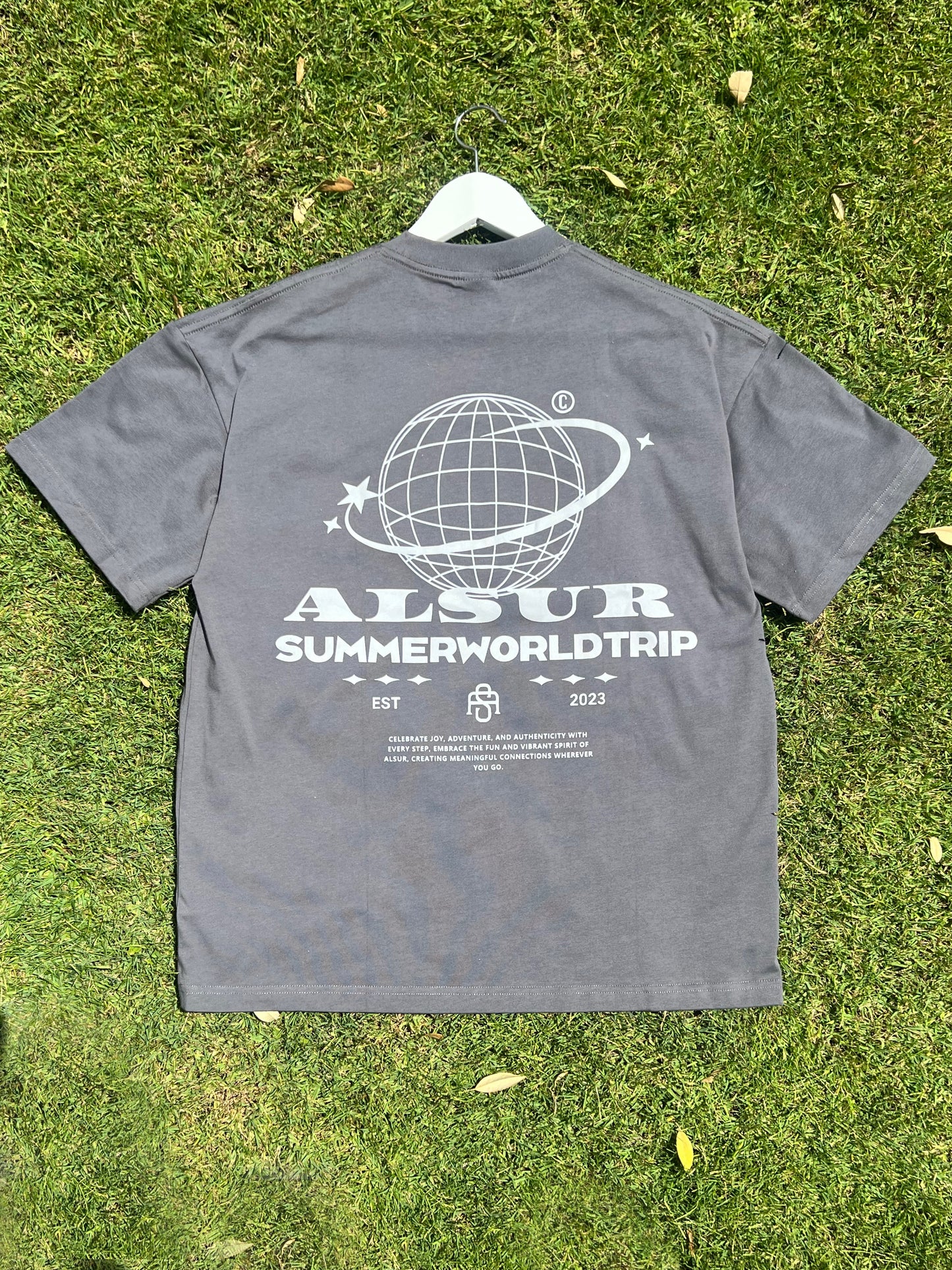 ALSUR Summer World Trip Gray T-Shirt